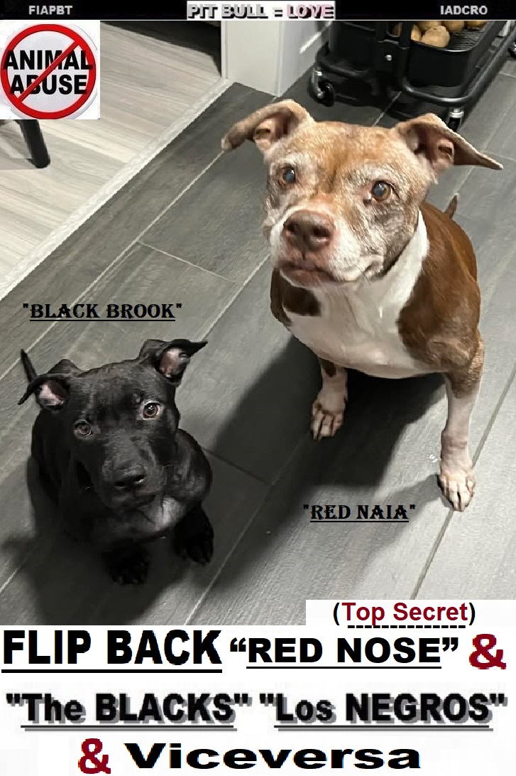 - - BLACK BROOKK & RED NAIA